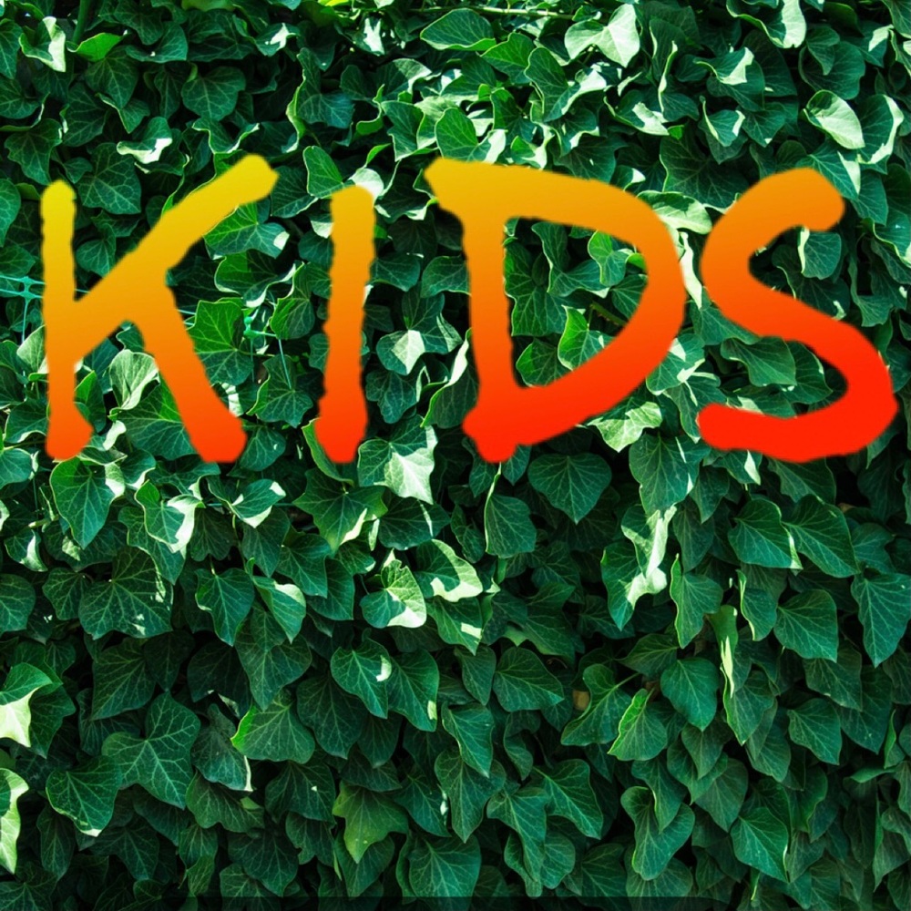 Baby, toddler, young kid clothing, toys, accessories